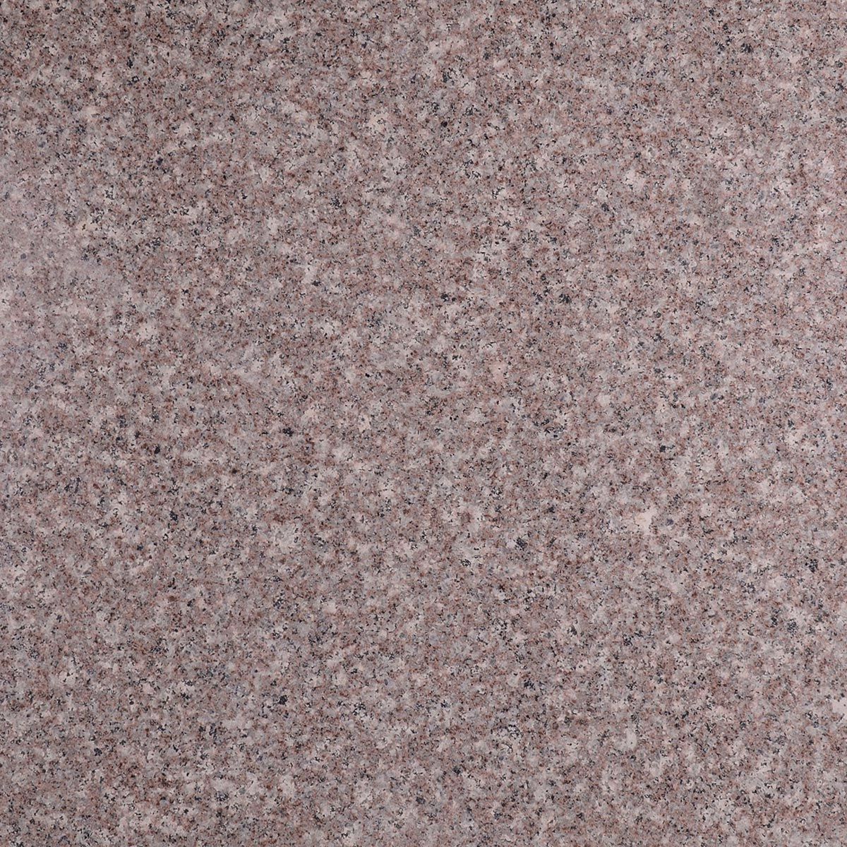 Pasy granit G664 Królewski Brąz polerowany 240-320x65-73x2 cm
