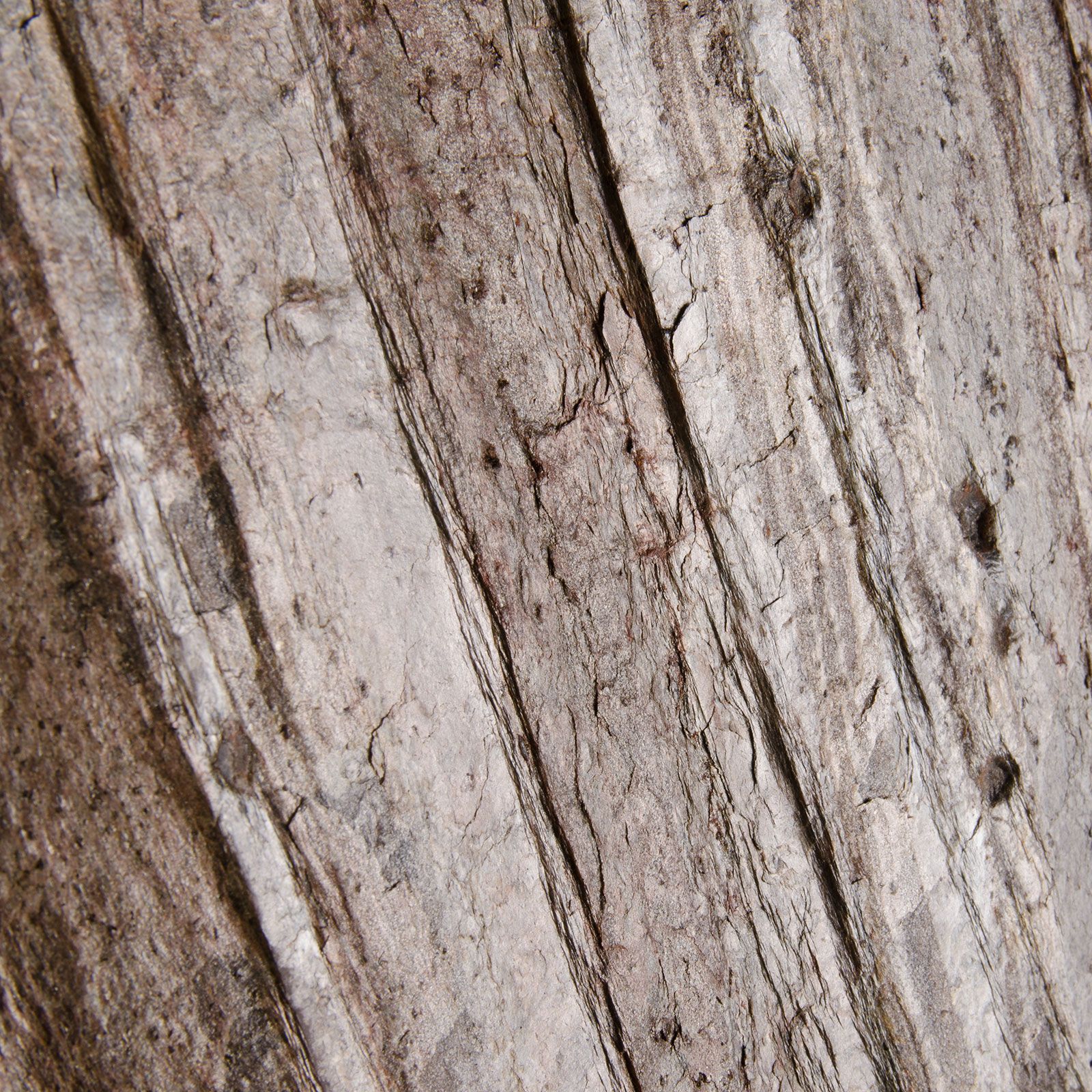 Fornir Kamienny Łupek Dubai tapeta 122x244x0,2 cm (1 szt. - 2,9768 m2)